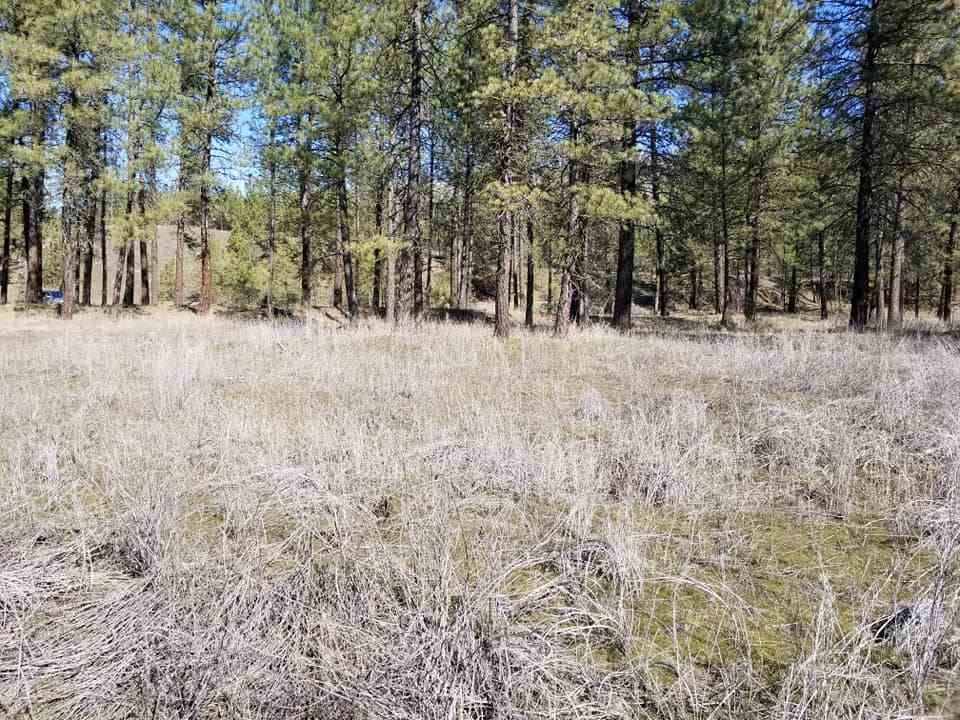 60-xx North Garfield Road Spokane, WA 99224 - Photo 2 of 15