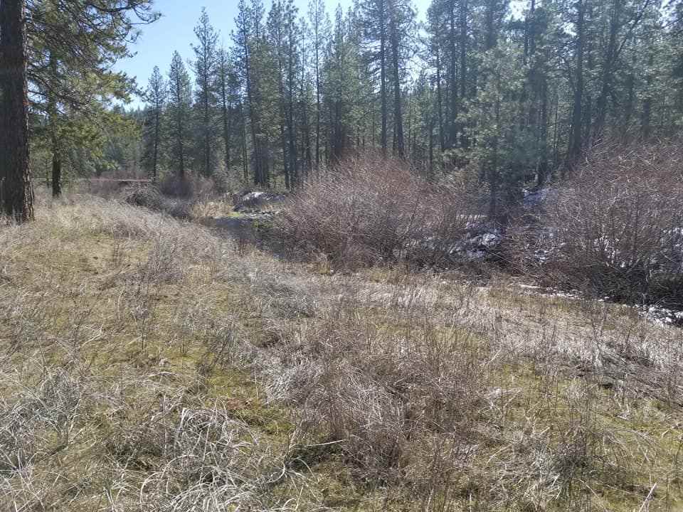 60-xx North Garfield Road Spokane, WA 99224 - Photo 11 of 15