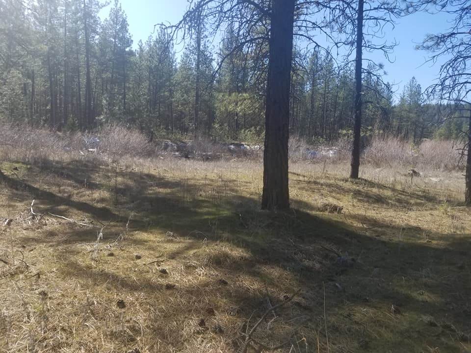 60-xx North Garfield Road Spokane, WA 99224 - Photo 12 of 15
