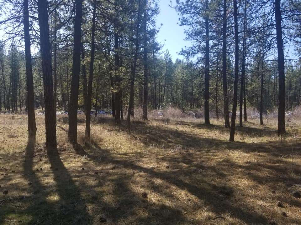 60-xx North Garfield Road Spokane, WA 99224 - Photo 13 of 15