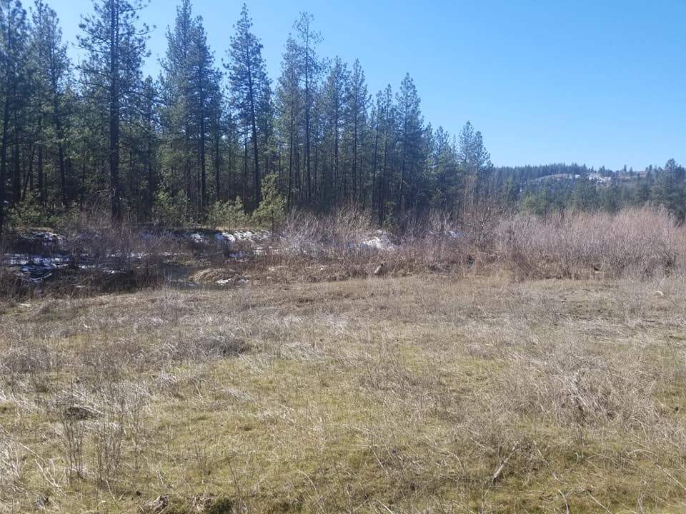60-xx North Garfield Road Spokane, WA 99224 - Photo 14 of 15