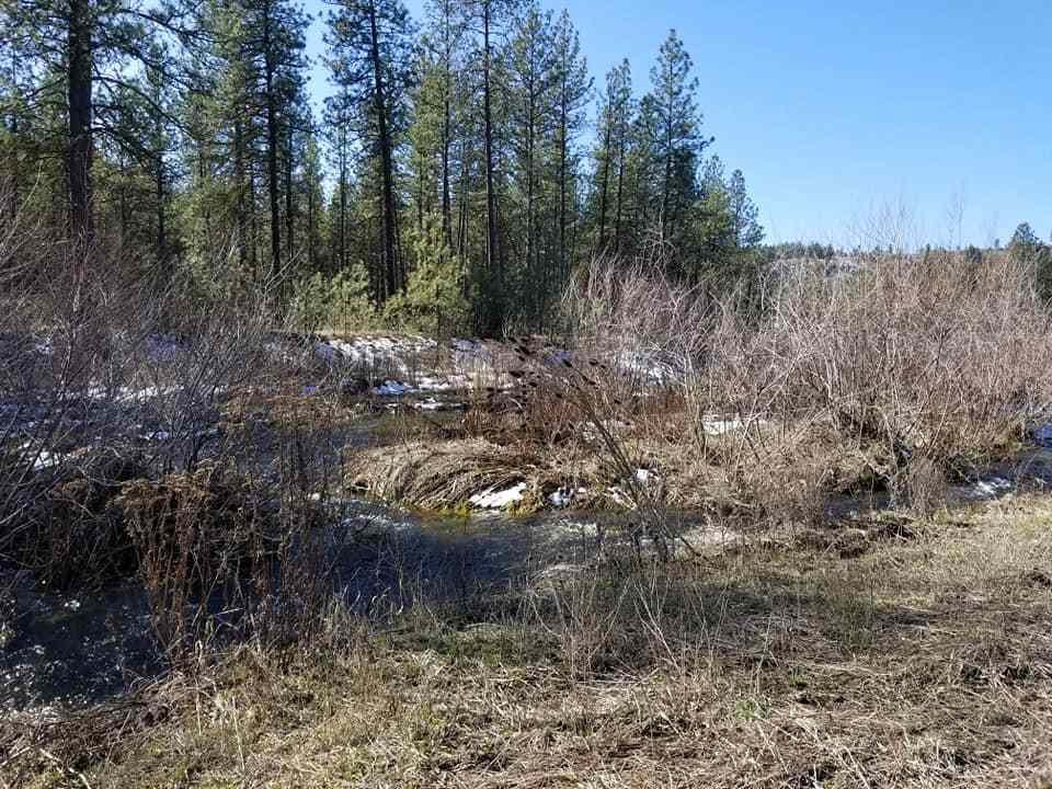 60-xx North Garfield Road Spokane, WA 99224 - Photo 3 of 15