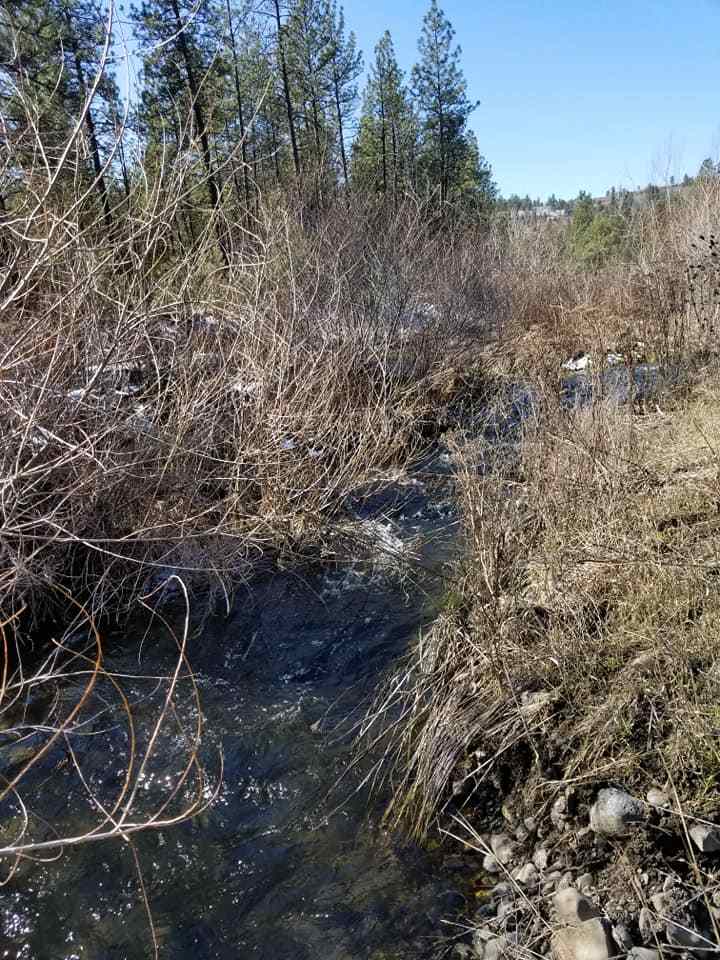 60-xx North Garfield Road Spokane, WA 99224 - Photo 5 of 15