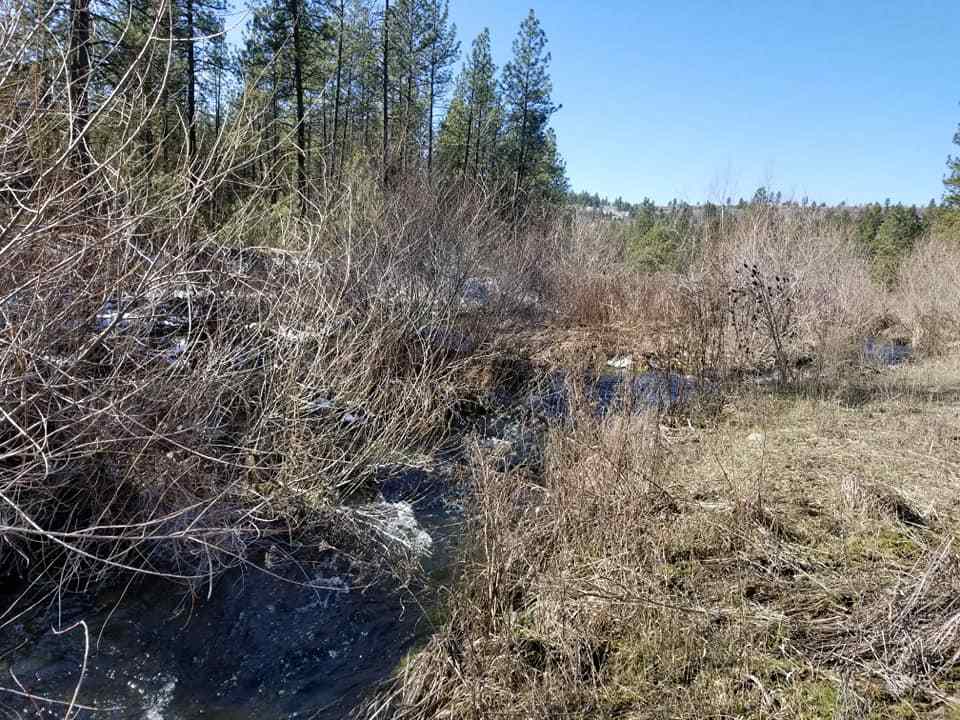 60-xx North Garfield Road Spokane, WA 99224 - Photo 6 of 15