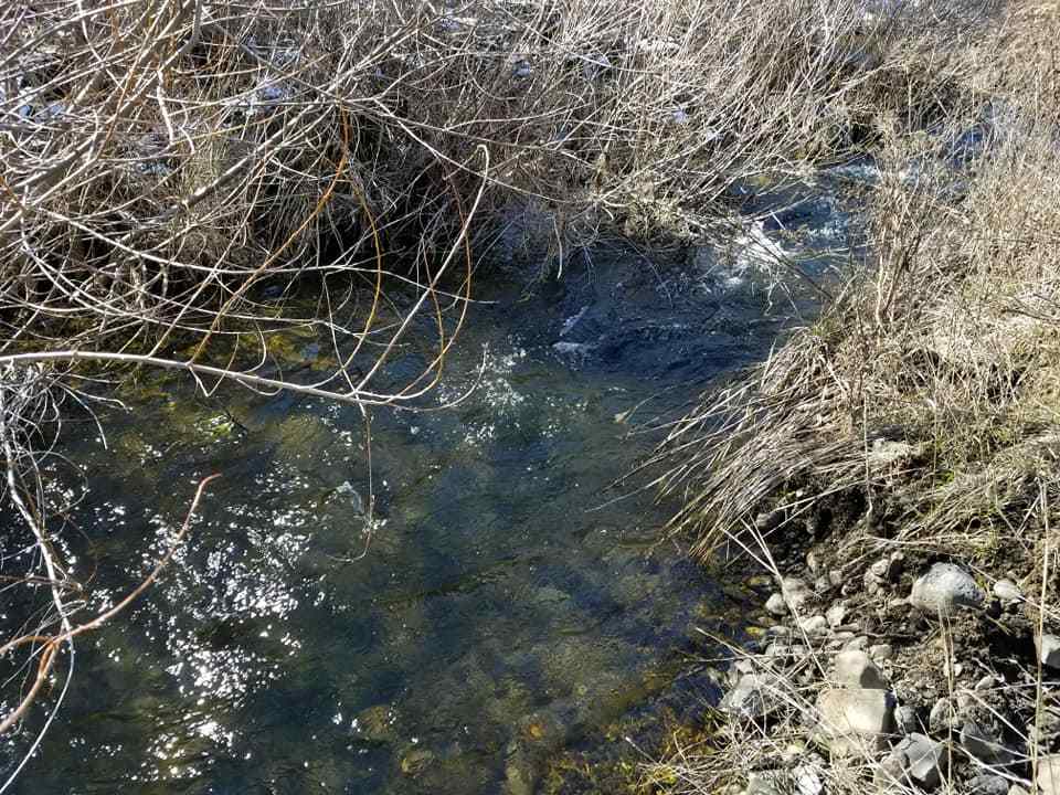60-xx North Garfield Road Spokane, WA 99224 - Photo 7 of 15
