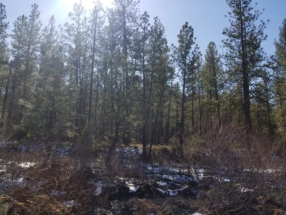 60-xx North Garfield Road Spokane, WA 99224 - Photo 8 of 15