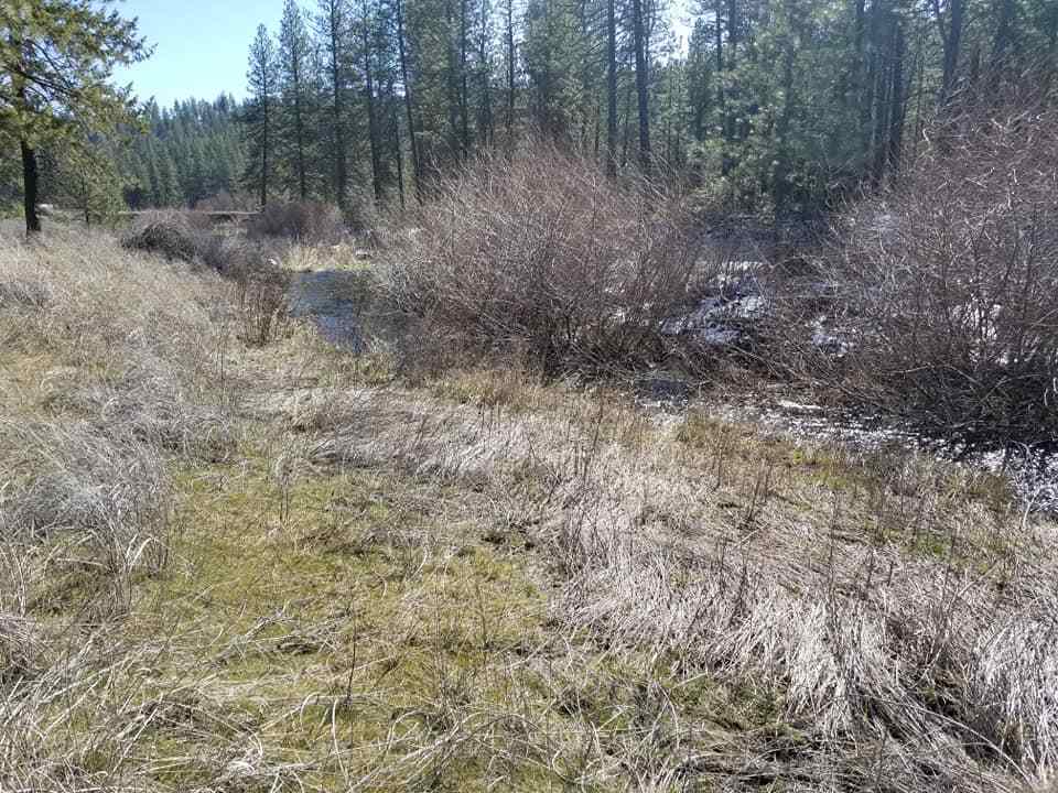 60-xx North Garfield Road Spokane, WA 99224 - Photo 10 of 15