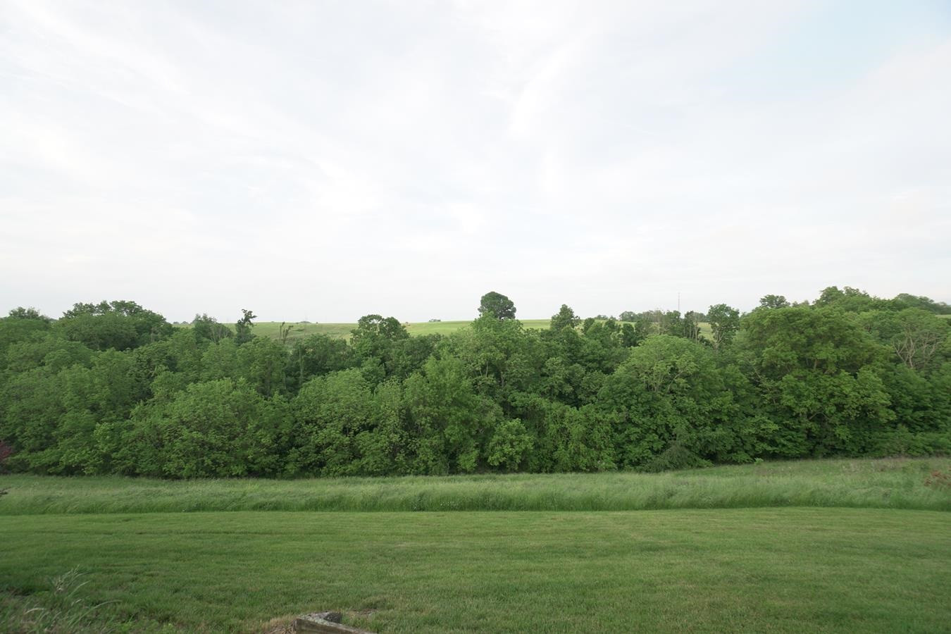 215 Jenni Lane Dry Ridge, KY 41035 - Photo 5 of 50 Gallery Image 5