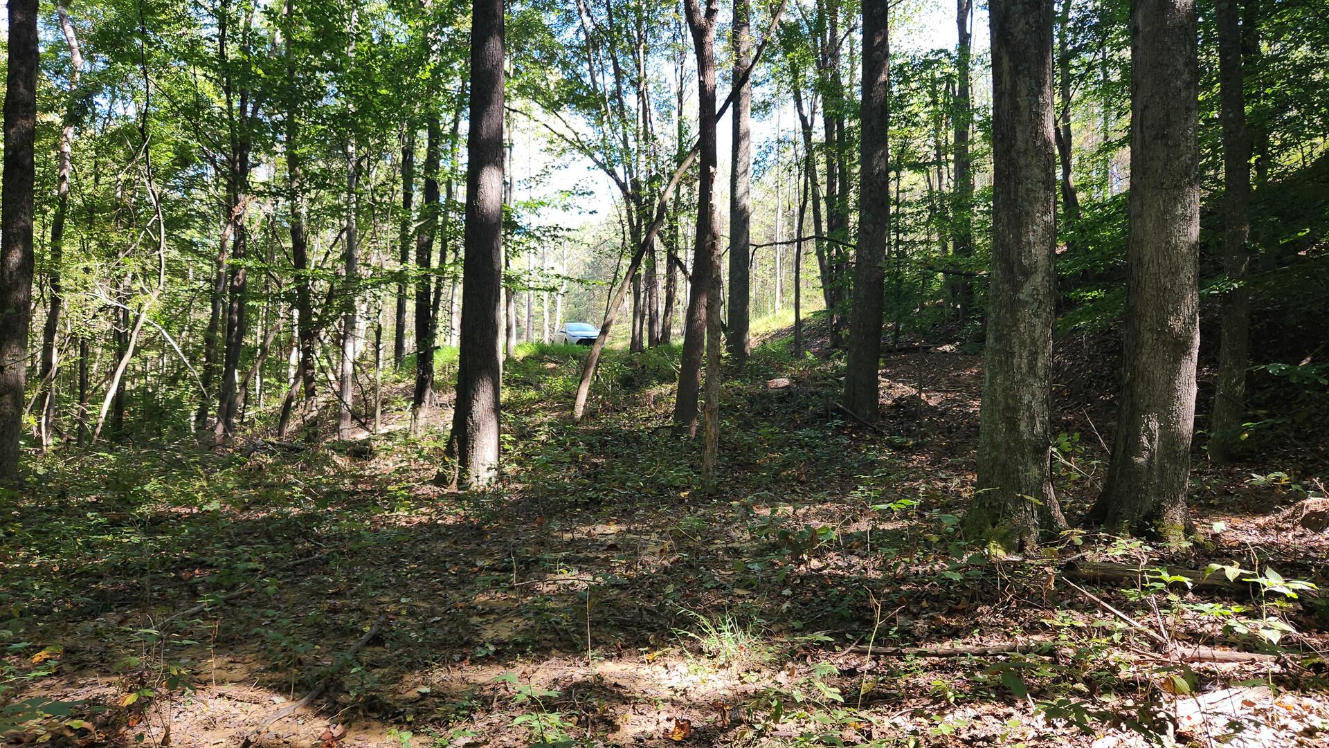 871 Poplar Ridge Road, Unit PONDS POPLAR RIDGE TRACT 13) Gallipolis, OH 45631 - Photo 9 of 36 CT-9