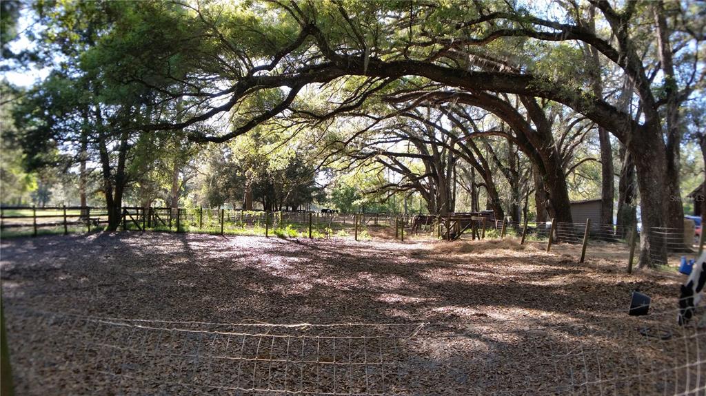 18635 Phillips Road Brooksville, FL 34604 - Photo 17 of 18 a view of road with trees