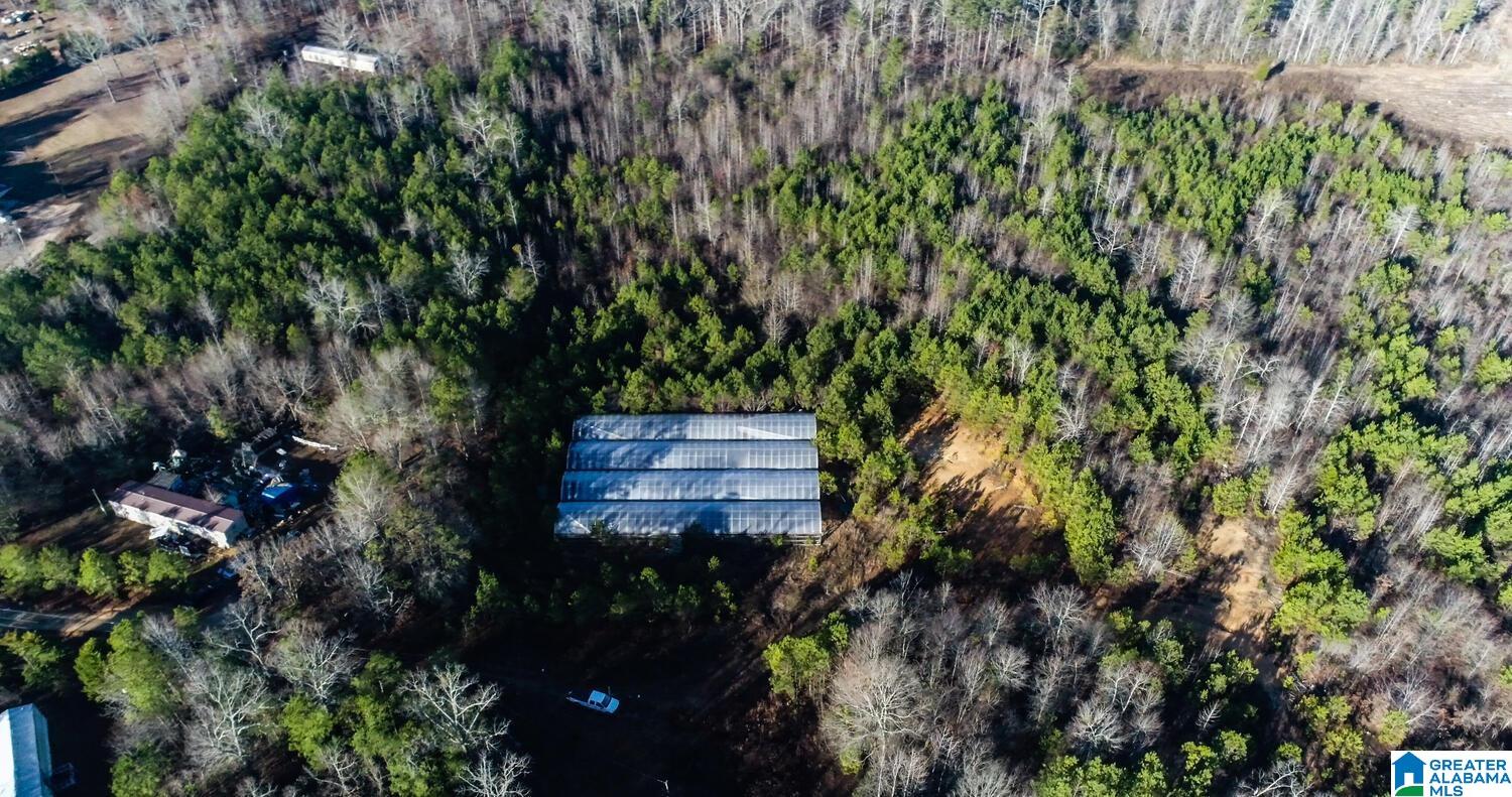 203 Racers Lane, Unit 1 Oxford, AL 36203 - Photo 10 of 21