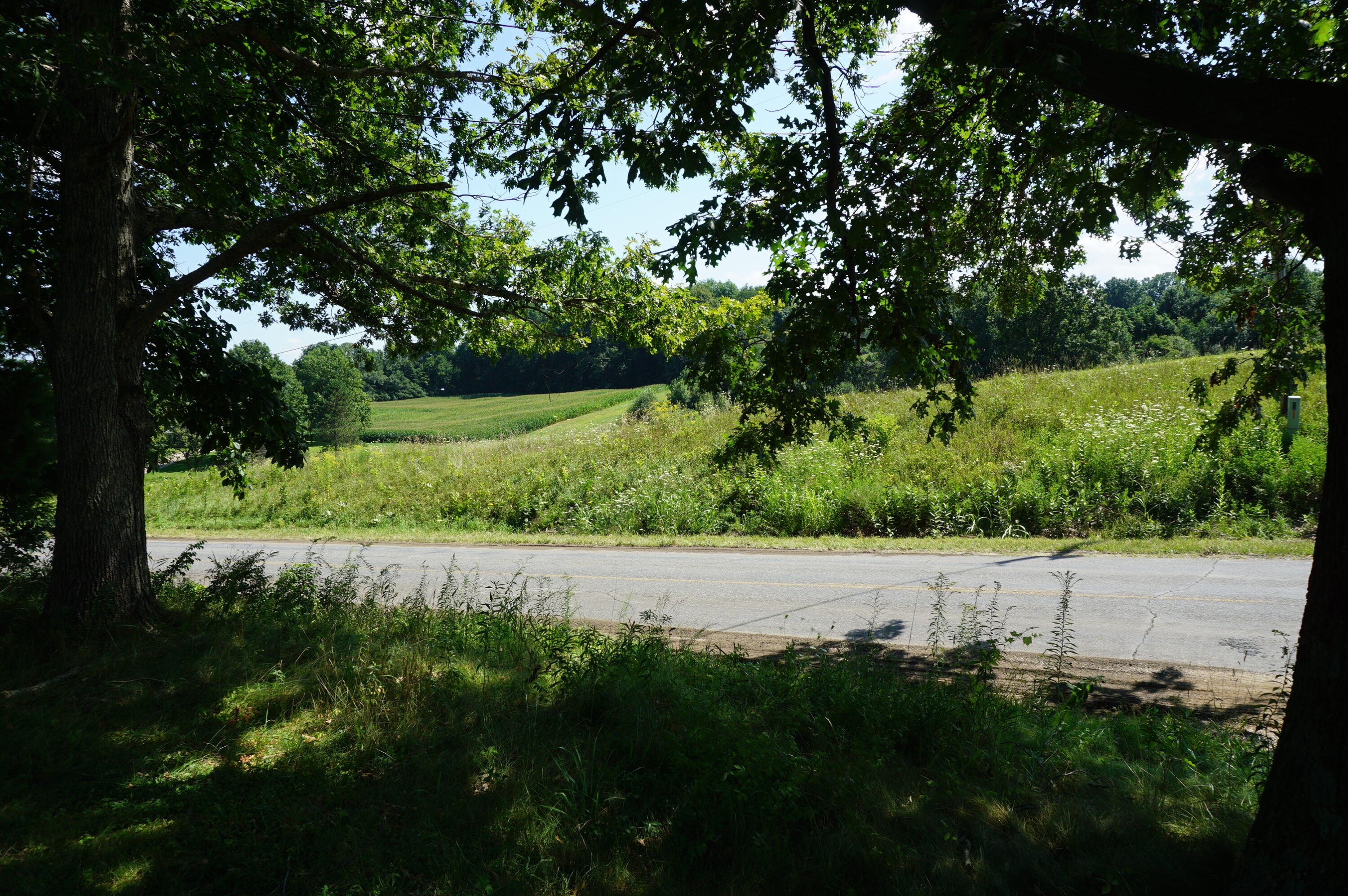 56955 Lucas Road Marcellus, MI 49067 - Photo 38 of 38 Field and corn to SE
