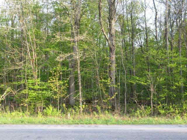 6351 East Frances Road Mount Morris, MI 48458 - Photo 18 of 18 21148258-17.JPG