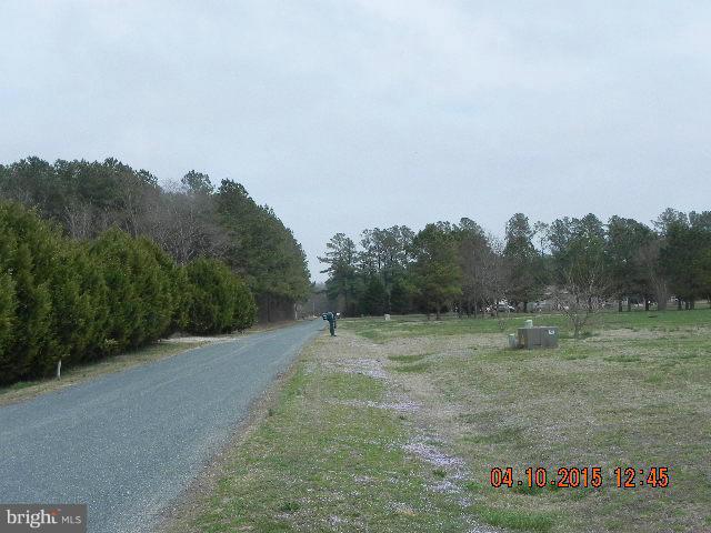 6107 Delaware Line Road Rhodesdale, MD 21659 - Photo 10 of 22 View
