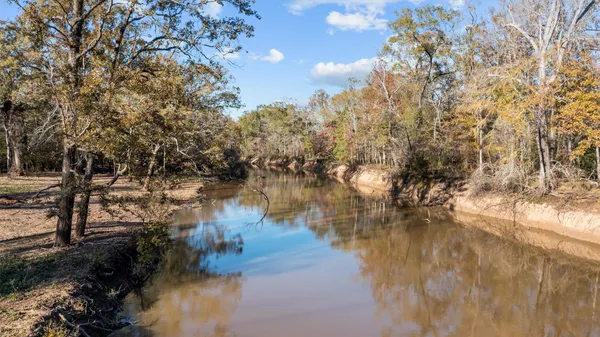 a view of a yard with swimming pool
