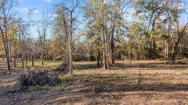 a view of back yard of the house