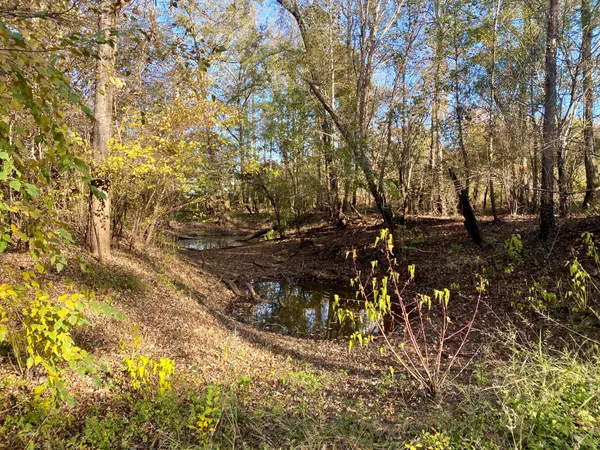 a view of backyard with green space