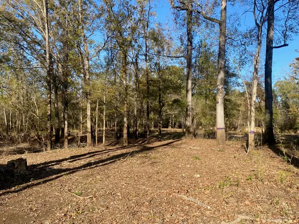 a view of a lake with a city