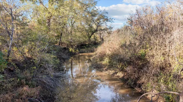 a view of outdoor space with lots of trees