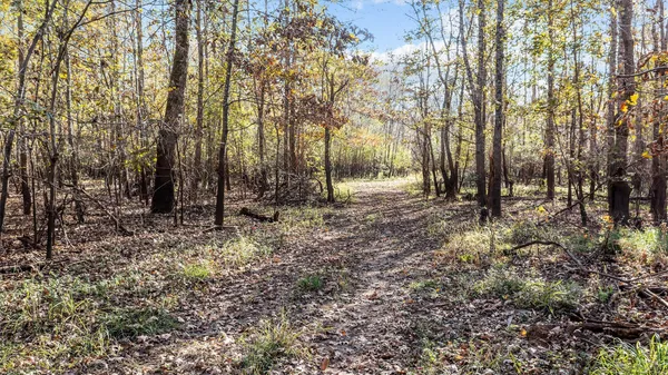 a view of a pathway of a building
