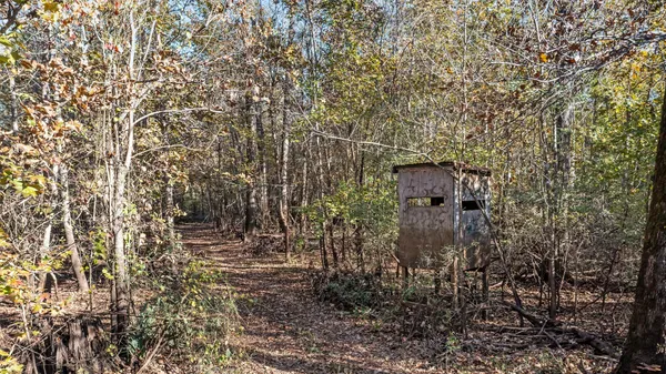 a view of city and mountain