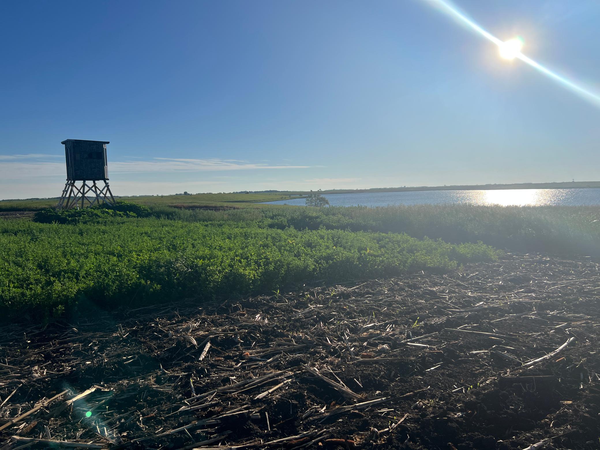 Tbd Southeast Tbd Se 90th Street Rutland, ND 58067 - Photo 5 of 105