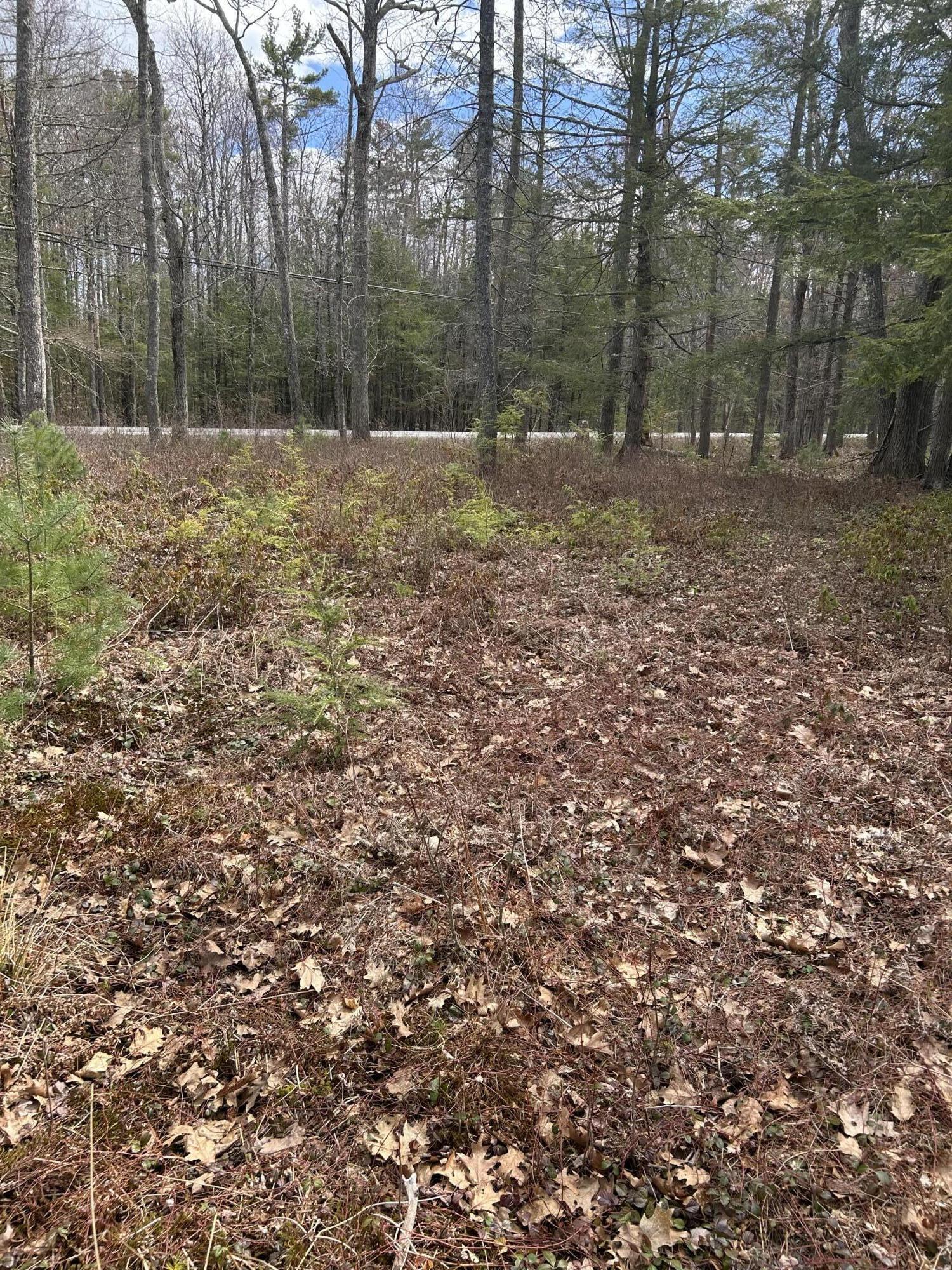 Lot 62 Branch Rd Wells Kennebunk, ME 04043 - Photo 2 of 2 IMG_8860