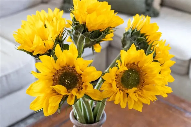 $345,000 | 647 Southeast Regency Trail, Madison, FL 32340