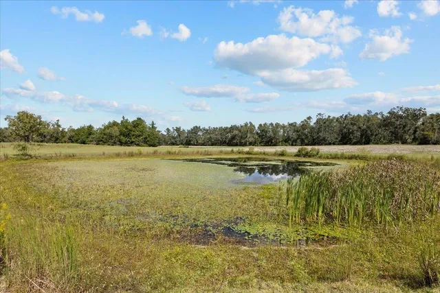 $345,000 | 647 Southeast Regency Trail, Madison, FL 32340