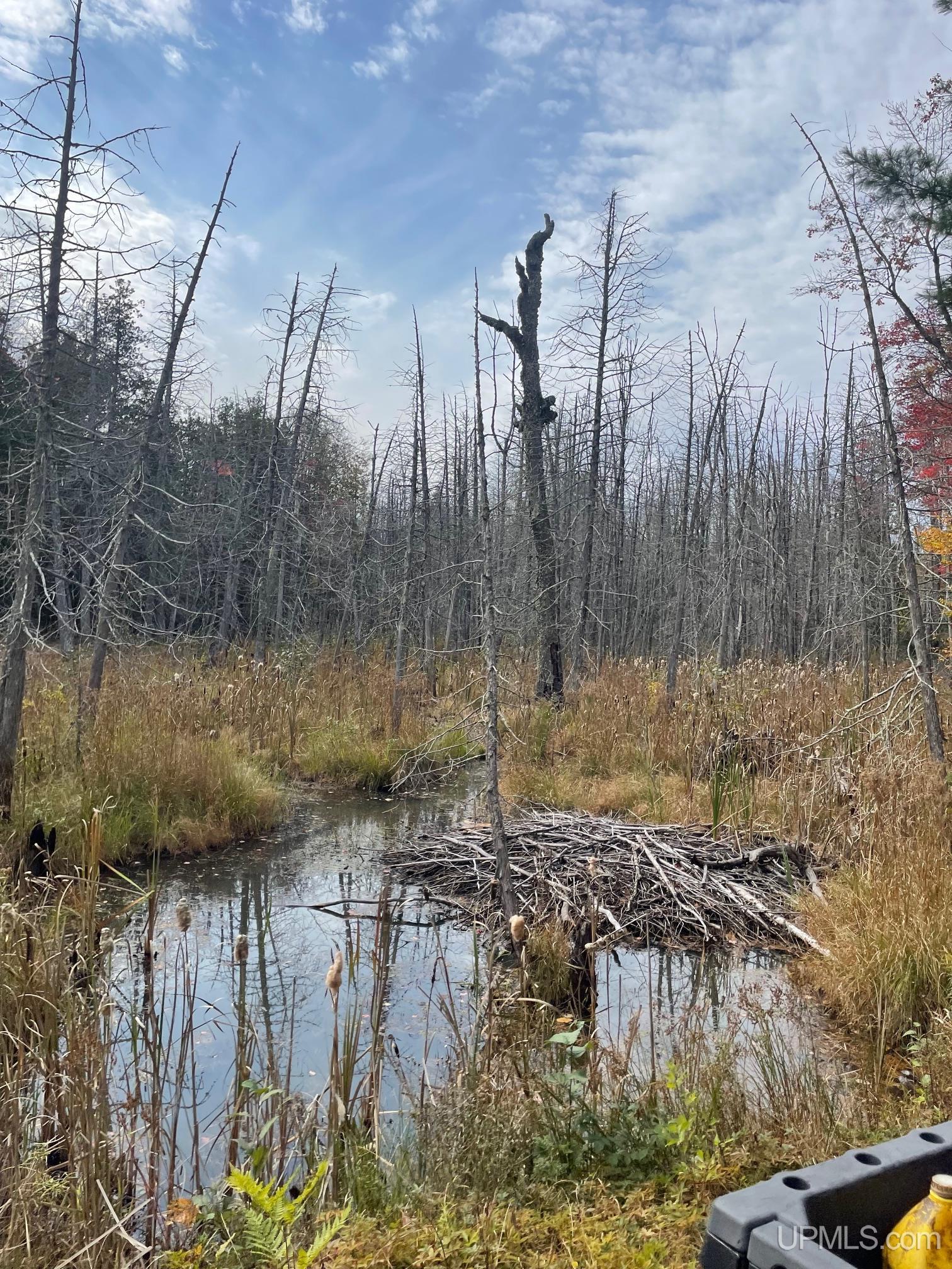 Tbd Gold Mine Lake Road Ishpeming, MI 49849 - Photo 9 of 10