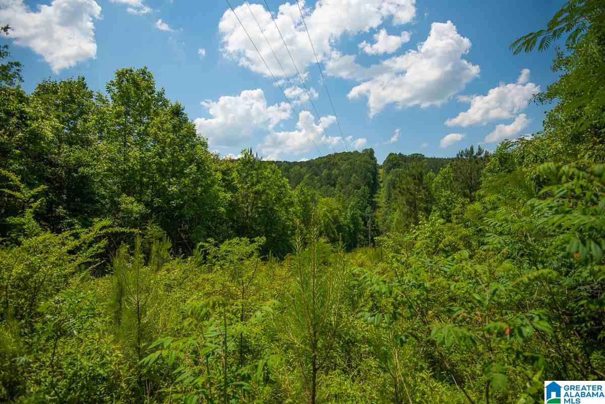 0 County Road 40, Unit 1 Arley, AL 35541 - Photo 6 of 11