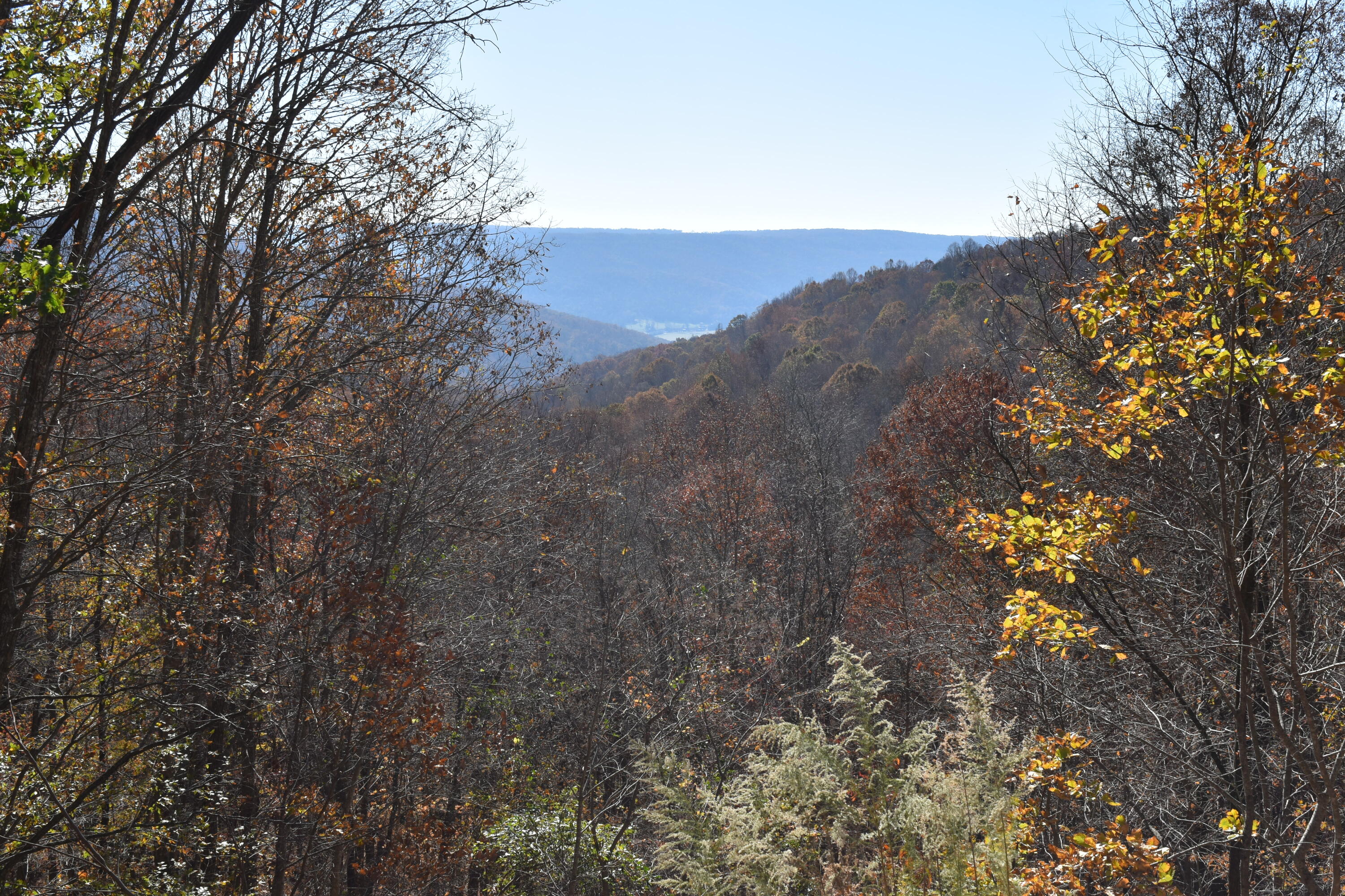 1454 Stagecoach Road Sewanee, TN 37375 - Photo 8 of 56 DSC_0004