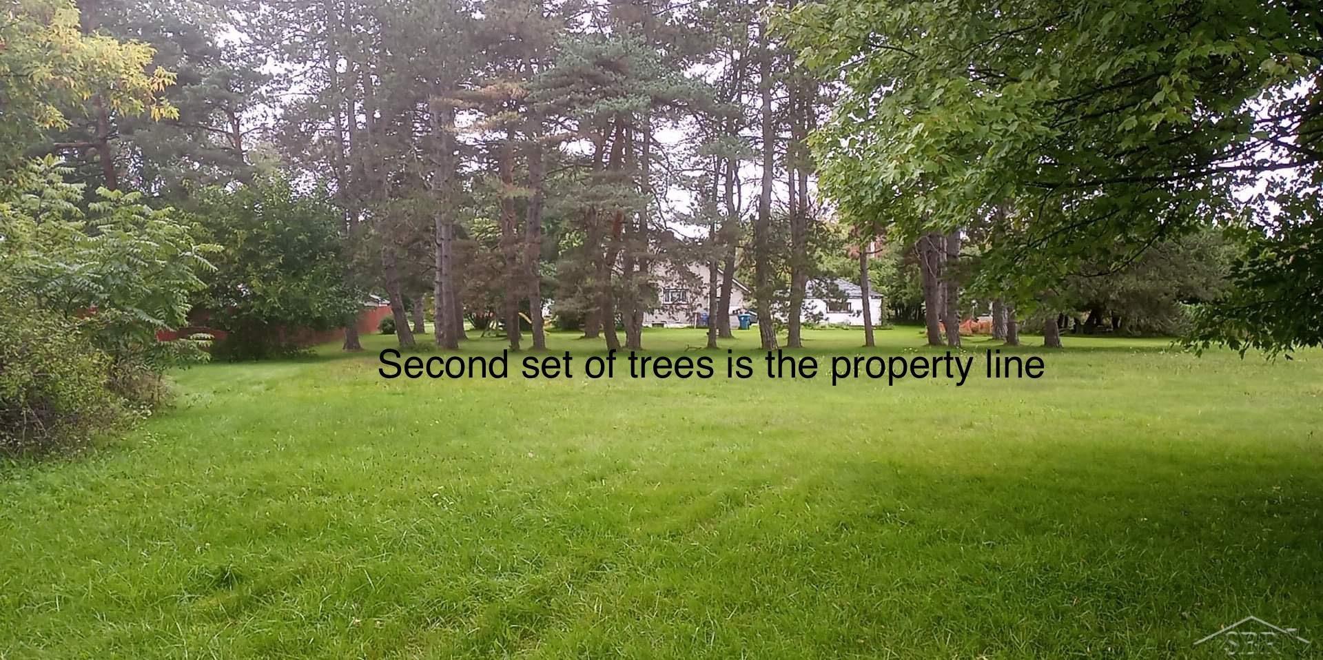 0 Simons Street Coleman, MI 48618 - Photo 1 of 9