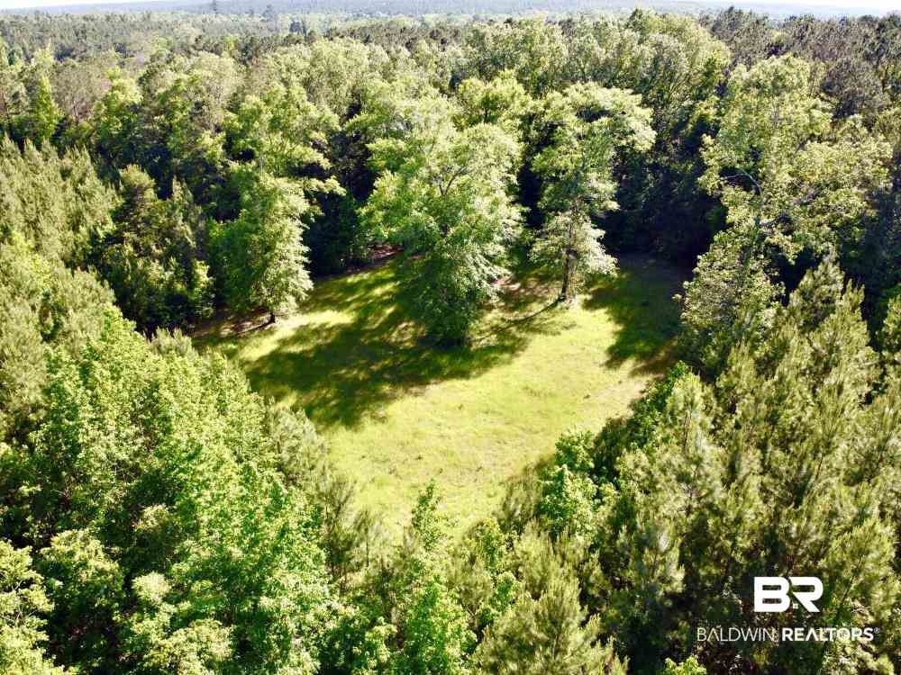 0 Country Road Uriah, AL 36480 - Photo 19 of 49