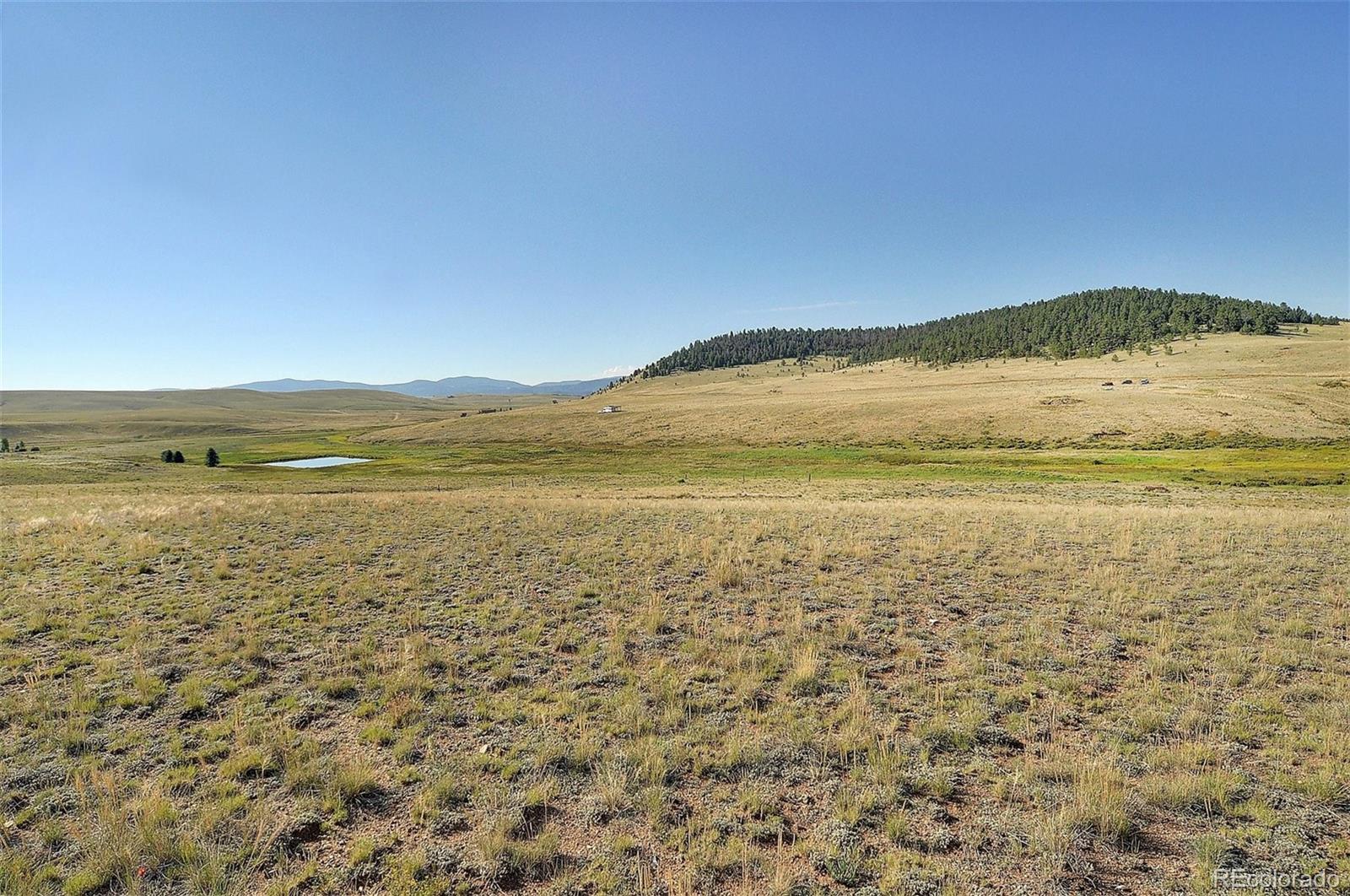 1245 Badger Creek Road Hartsel, CO 80449 - Photo 21 of 30 a view of an ocean