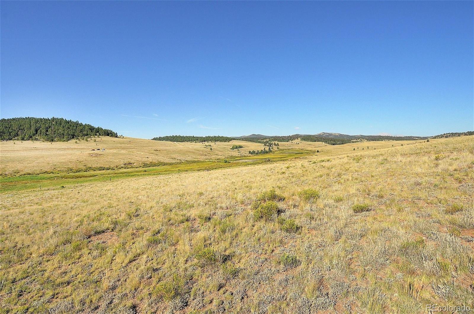 1245 Badger Creek Road Hartsel, CO 80449 - Photo 24 of 30 a view of an ocean and beach