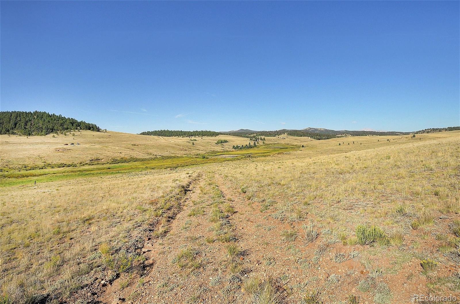 1245 Badger Creek Road Hartsel, CO 80449 - Photo 25 of 30 a view of an ocean and beach