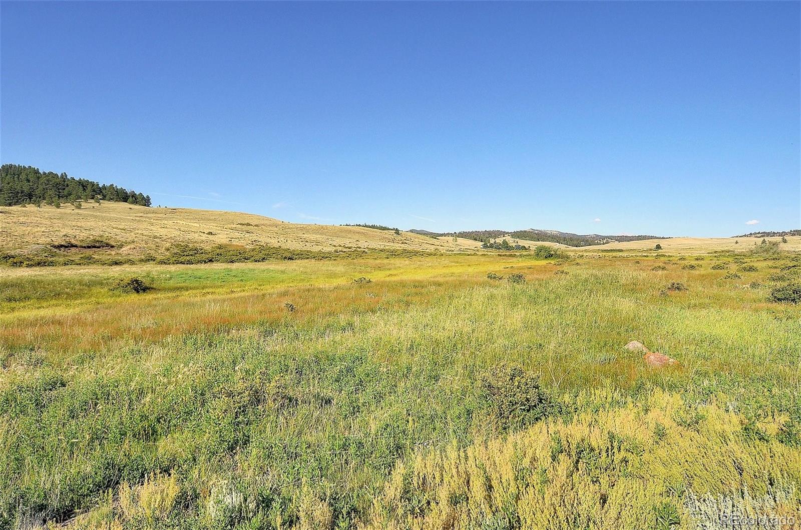 1245 Badger Creek Road Hartsel, CO 80449 - Photo 28 of 30 a view of an ocean