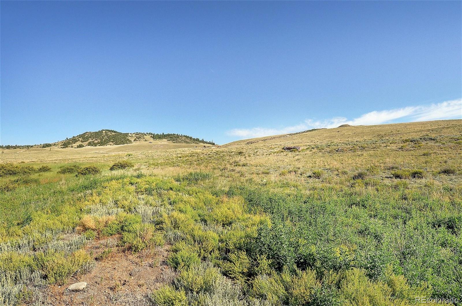 1245 Badger Creek Road Hartsel, CO 80449 - Photo 29 of 30 a view of mountain