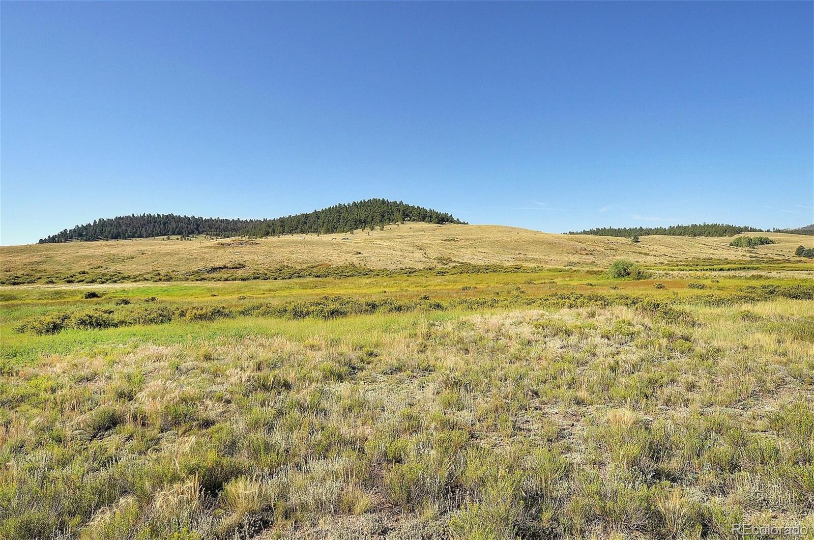1245 Badger Creek Road Hartsel, CO 80449 - Photo 30 of 30 a view of an ocean