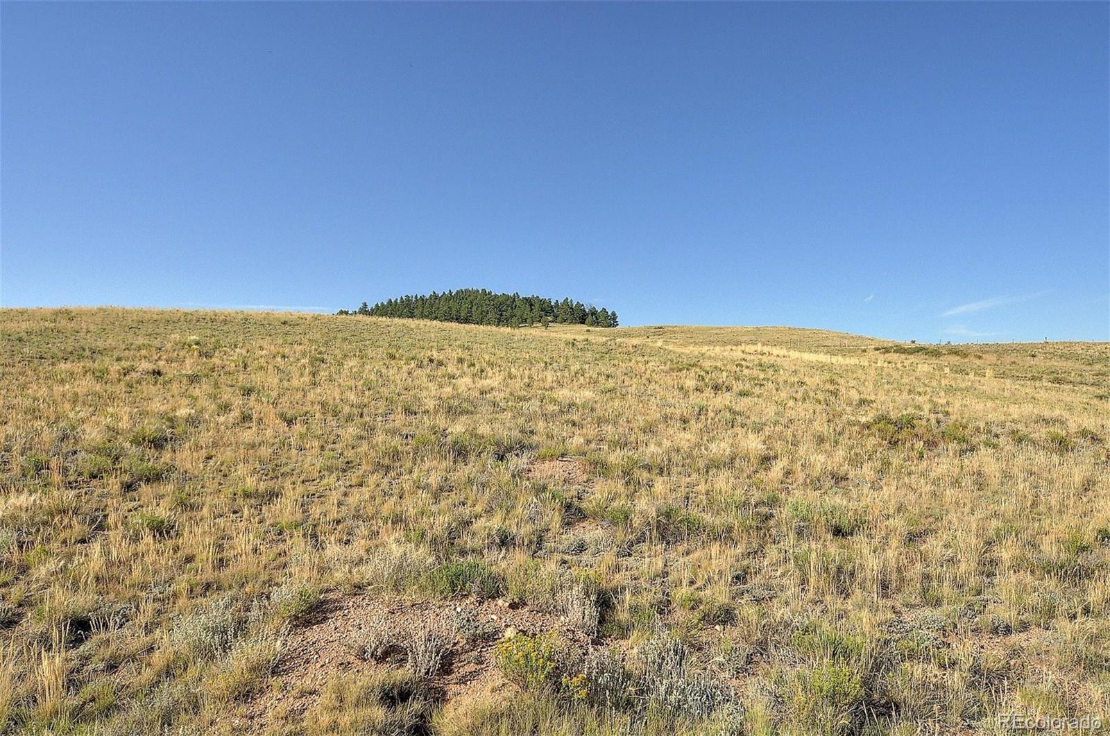 1245 Badger Creek Road Hartsel, CO 80449 - Photo 9 of 30 a view of an ocean