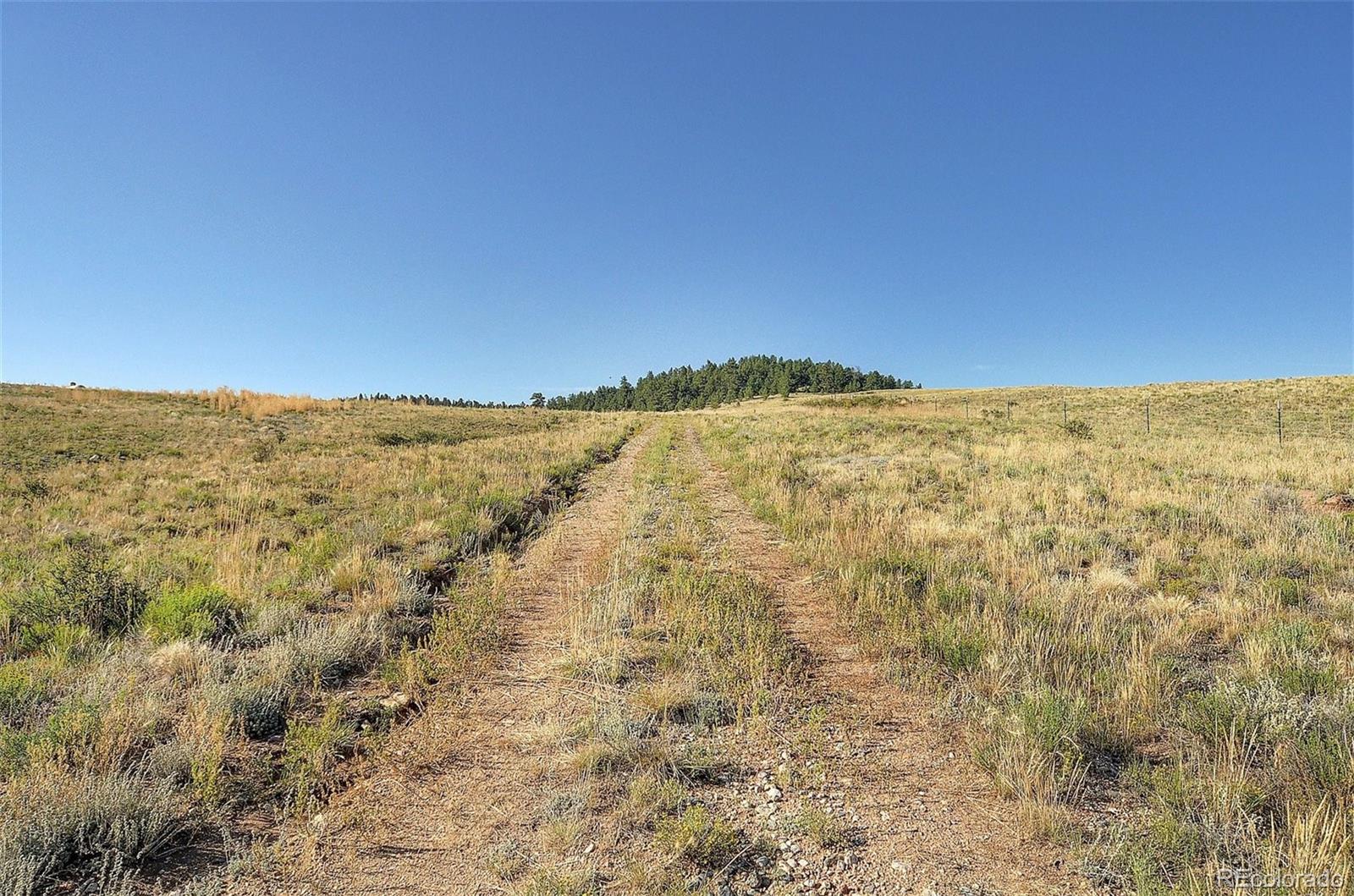 1245 Badger Creek Road Hartsel, CO 80449 - Photo 10 of 30 a view of mountain view with an ocean view