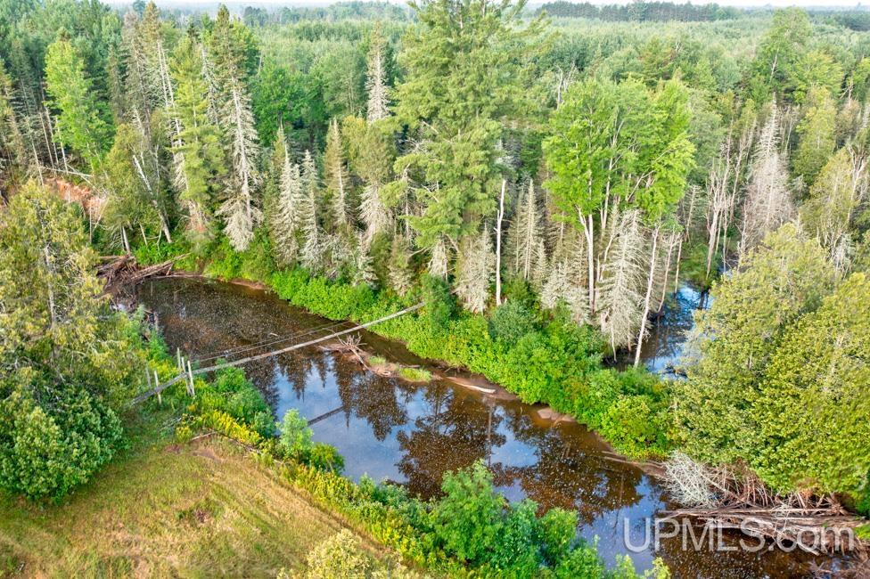64.84 A Off S15 Road Rapid River, MI 49878 - Photo 3 of 16 Gallery Image 3