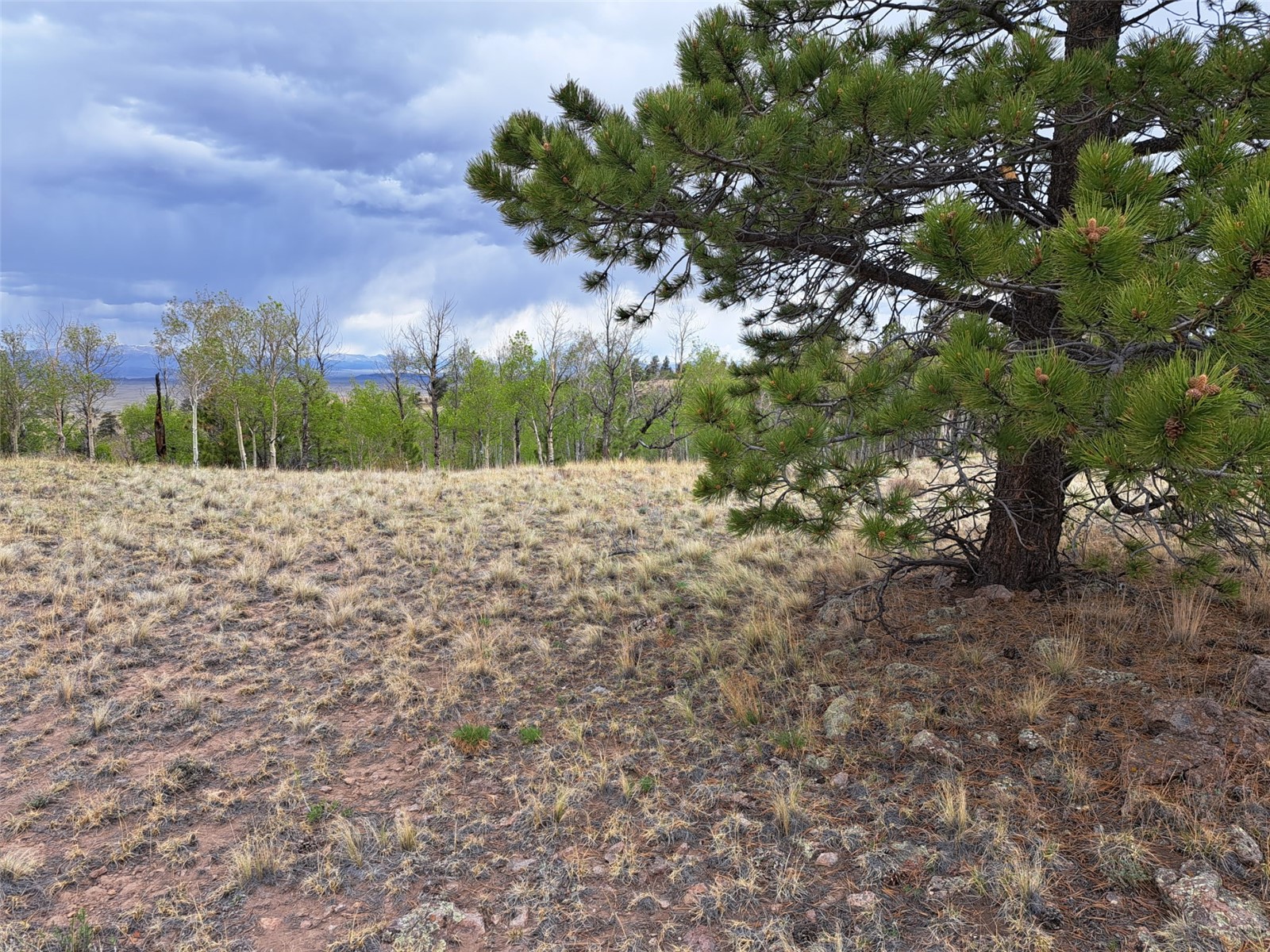 ` Dog Soldier Road Hartsel, CO 80449 - Photo 17 of 34 Gallery Image 17