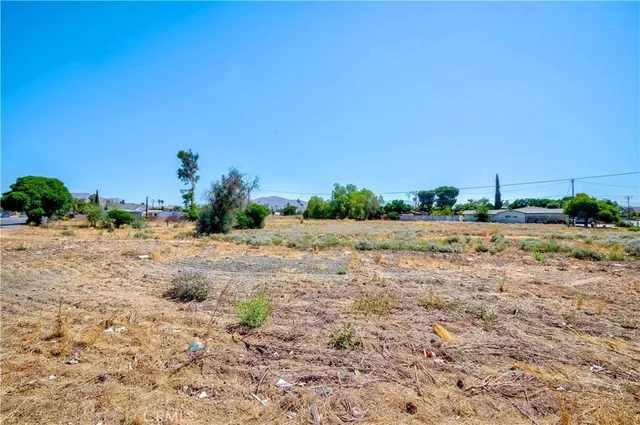 a view of a dry yard
