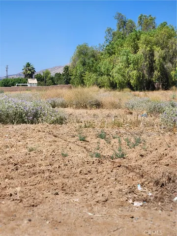 a view of a yard with a yard
