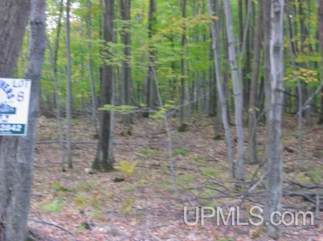 T-wi Campbell Road, Unit PCL 8 Florence, WI 54121 - Photo 1 of 2