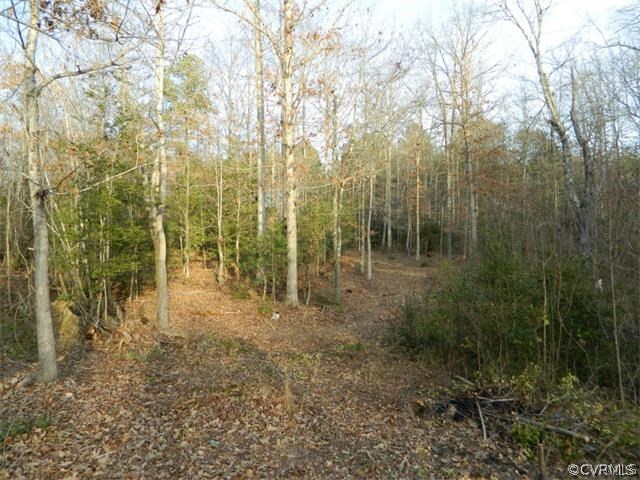 0 Verdon Road Beaverdam, VA 23015 - Photo 1 of 7 a view of a forest with a tree