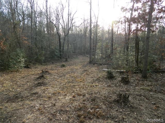 0 Verdon Road Beaverdam, VA 23015 - Photo 3 of 7 a view of a forest with trees in the background