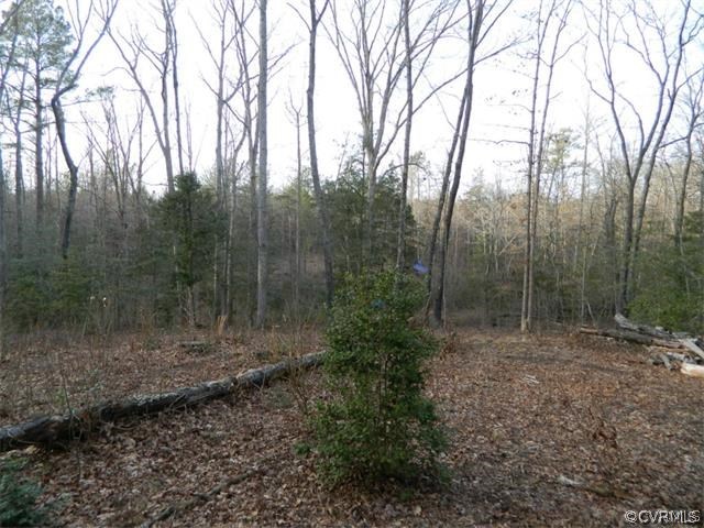 0 Verdon Road Beaverdam, VA 23015 - Photo 4 of 7 a view of a forest with trees